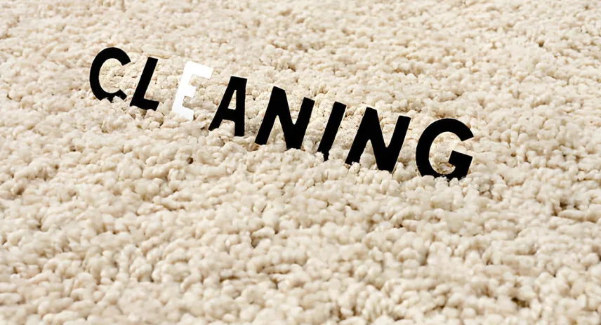 Best Non Toxic Carpet Cleaning Methods in 2026